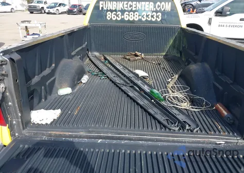 2005 Ford F-150 Stx/Xl/Xlt z USA, uszkodzony, nr VIN 1FTRF12W05NB54716